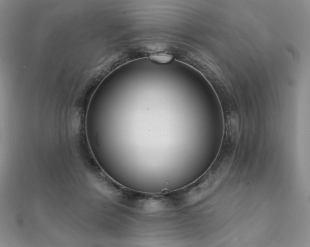 X0000112000412200908031233