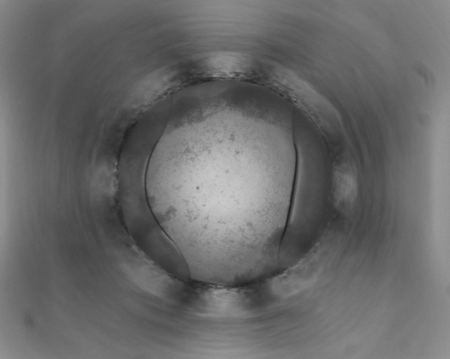 X0000112000413200908031233