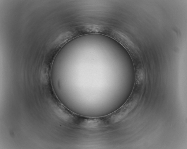 X0000112000414200908031233