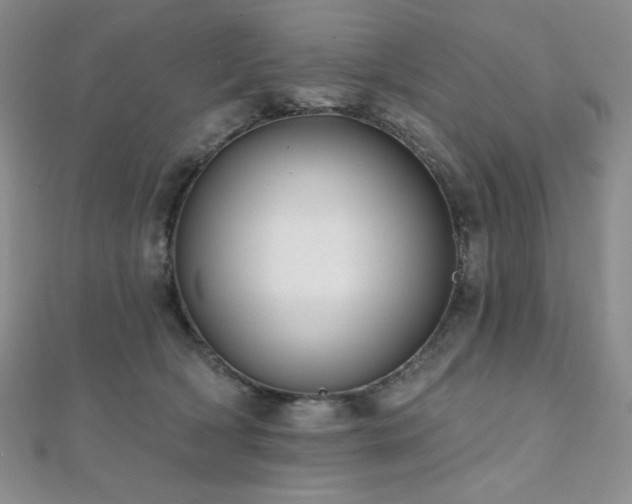 X0000112000418200908031233