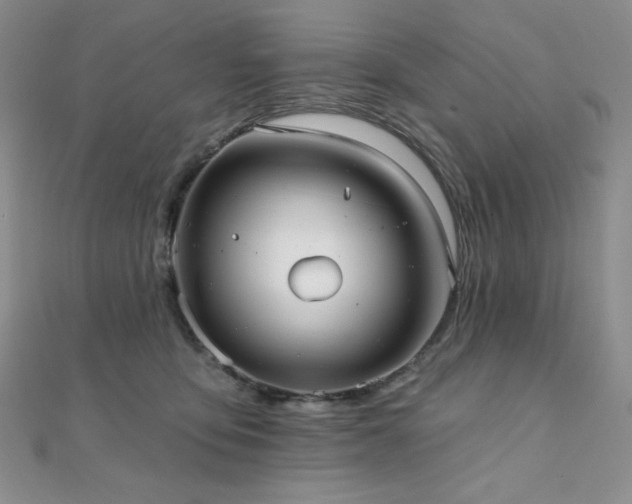 X0000112000419200908031233