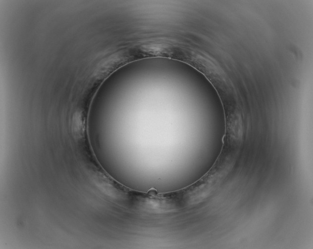 X0000112000420200908031233