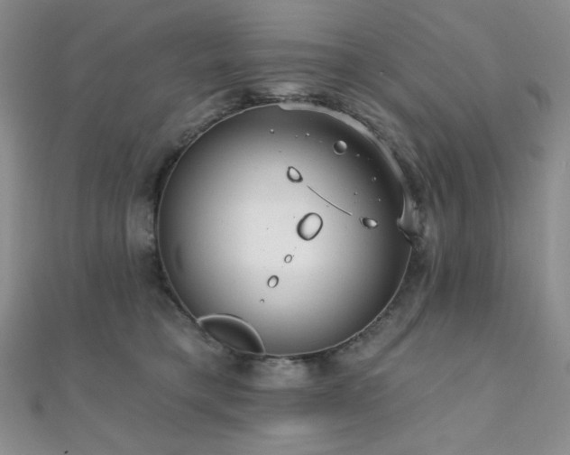 X0000112000421200908031233