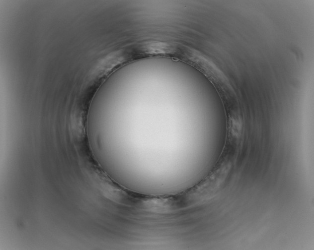 X0000112000422200908031233