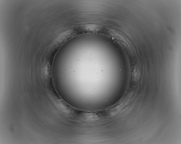 X0000112000424200908031232