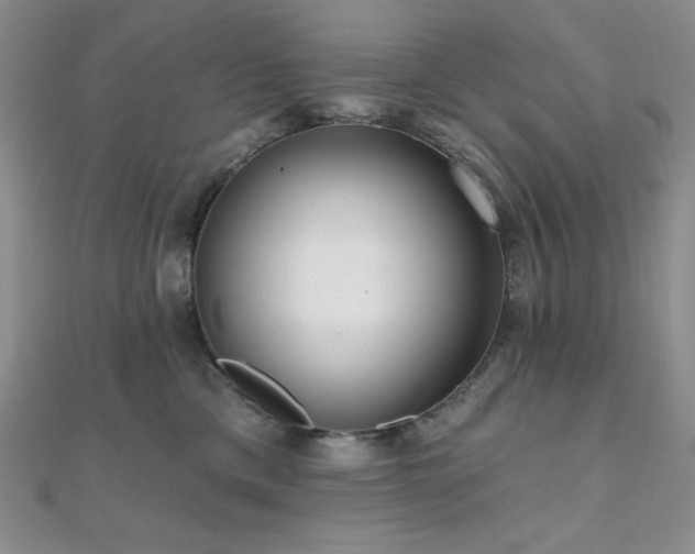 X0000112000425200908031232