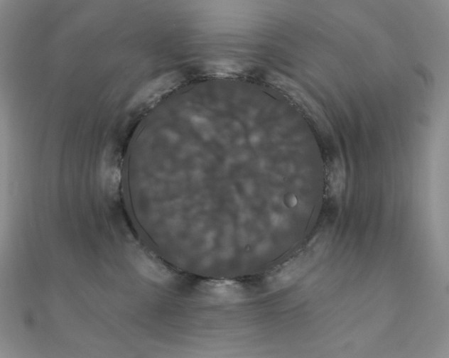 X0000112000427200908031232