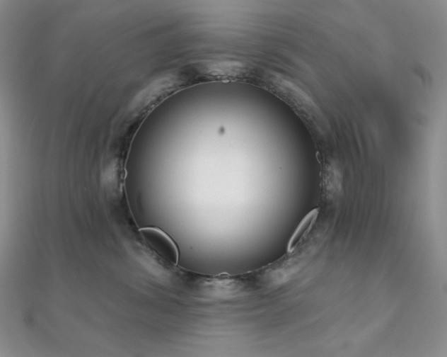 X0000112000428200908031232