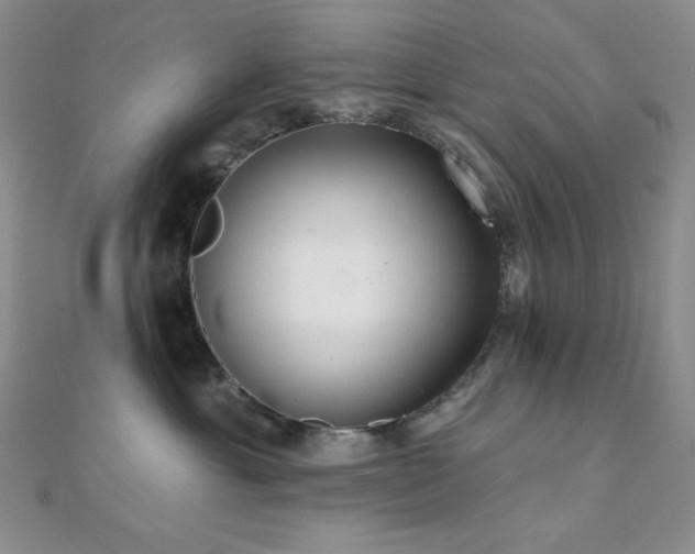 X0000112000429200908031232