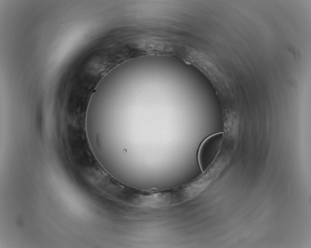 X0000112000430200908031232