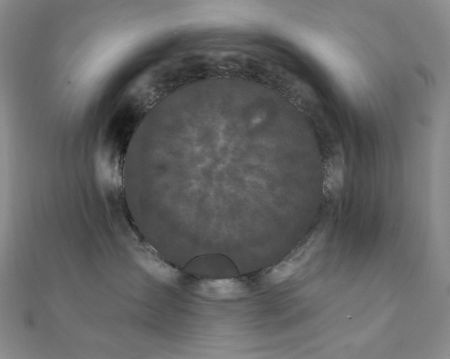 X0000112000431200908031232