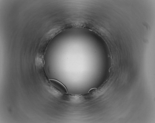 X0000112000432200908031232