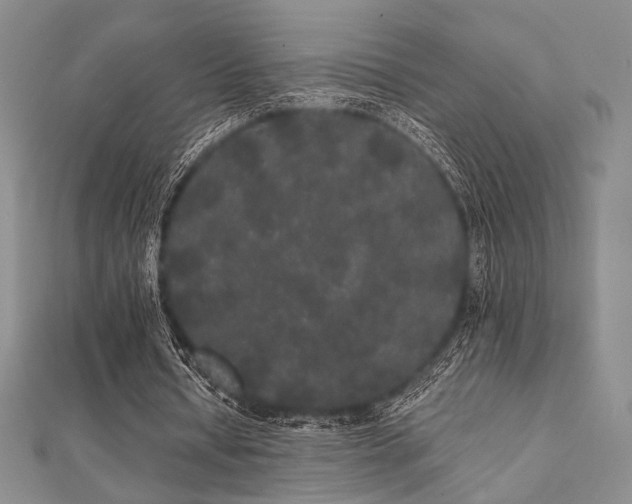 X0000112000434200908031232