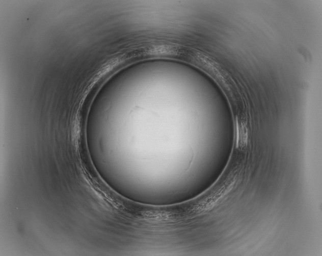 X0000112000435200908031232