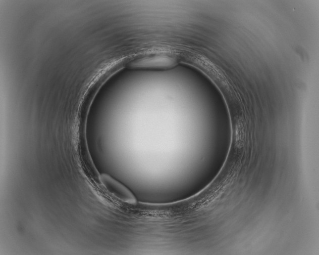 X0000112000436200908031232