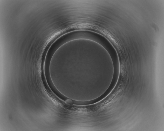 X0000112000438200908031232