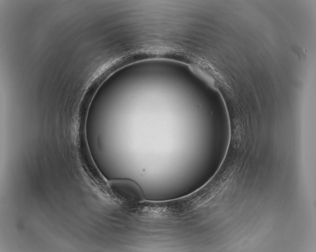 X0000112000440200908031232