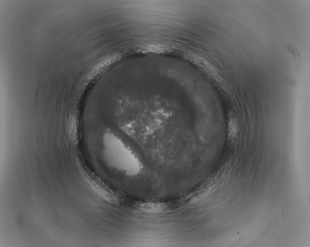 X0000112000444200908031232