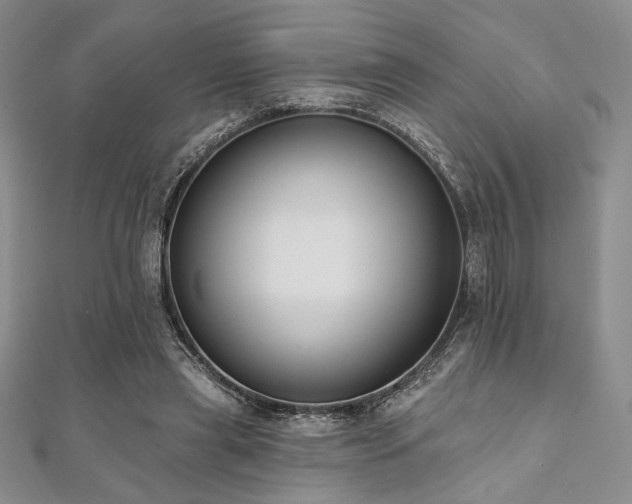 X0000112000445200908031232