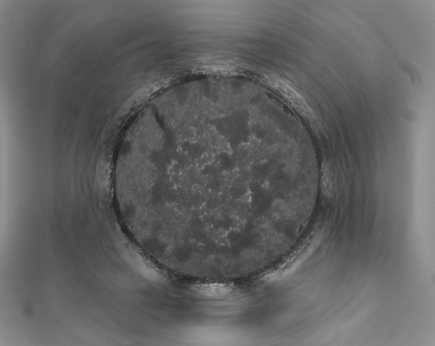 X0000112000449200908031232