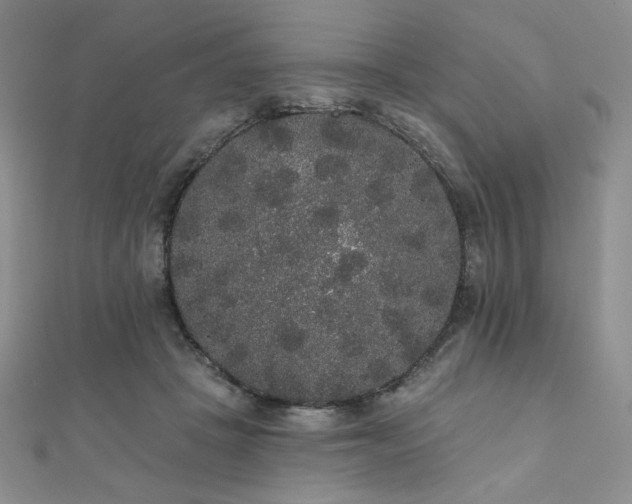 X0000112000457200908031232