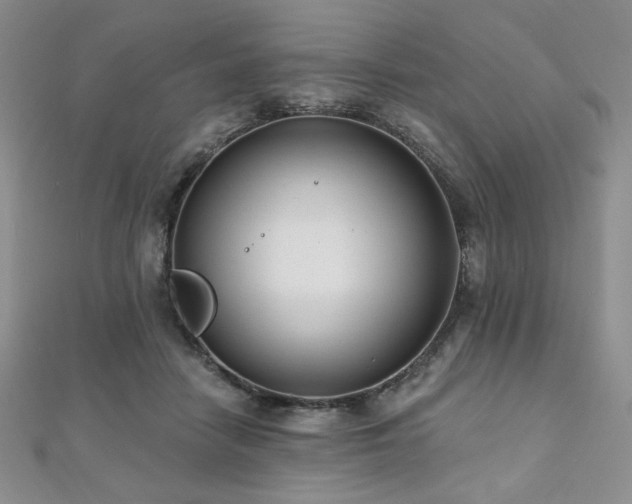 X0000112000458200908031232