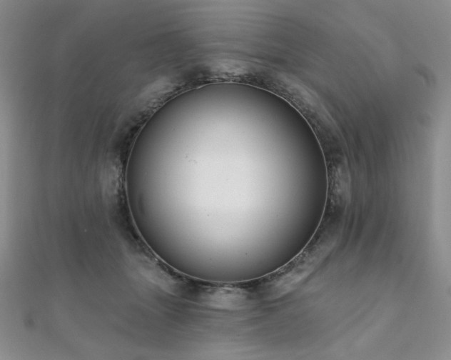 X0000112000463200908031232