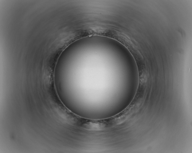 X0000112000464200908031232