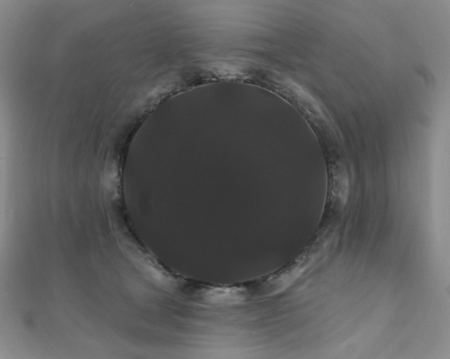 X0000112000465200908031232