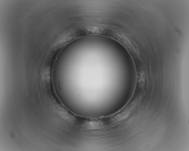 X0000112000466200908031232