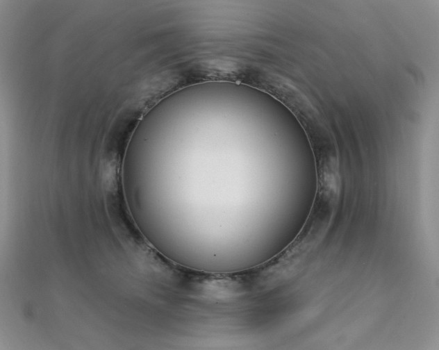 X0000112000468200908031232