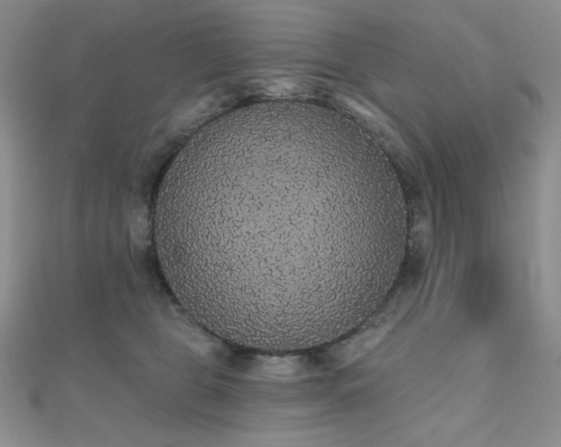 X0000112000469200908031232