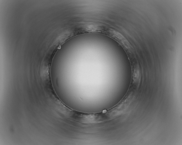 X0000112000473200908031232