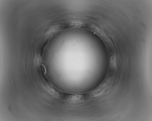 X0000112000474200908031232