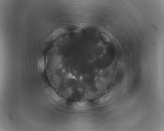 X0000112000479200908031232