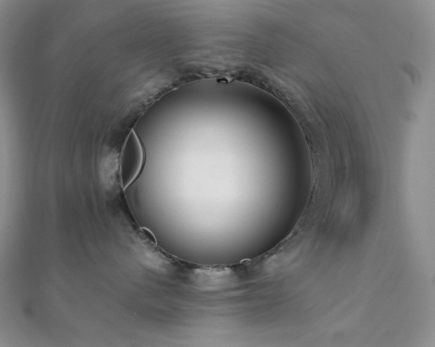 X0000112000480200908031232