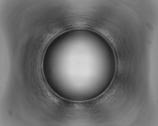 X0000112000481200908031232