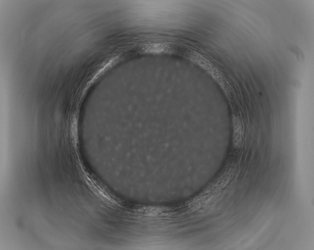 X0000112000482200908031232