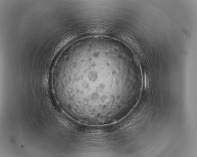 X0000112000483200908031232