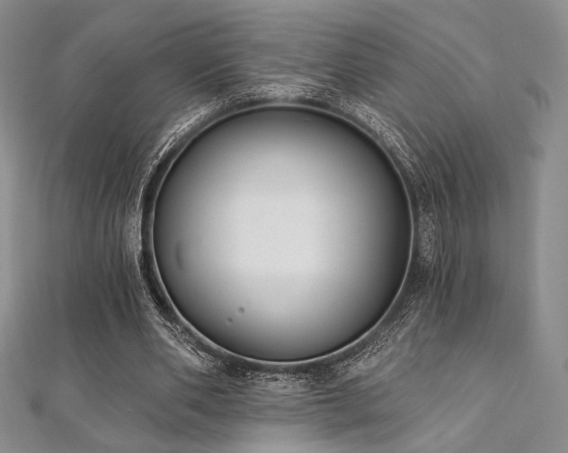 X0000112000486200908031232