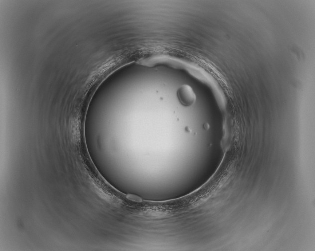 X0000112000489200908031232