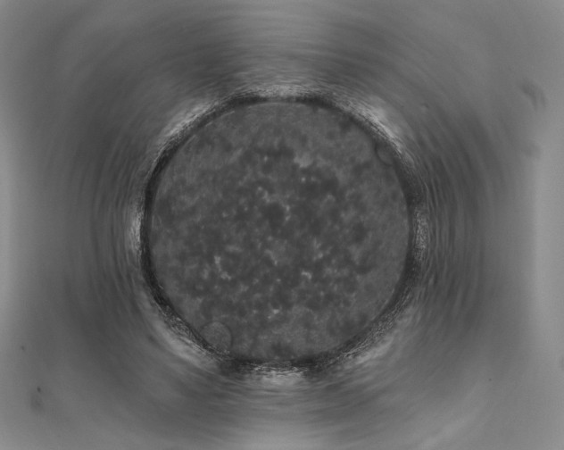 X0000112000491200908031232