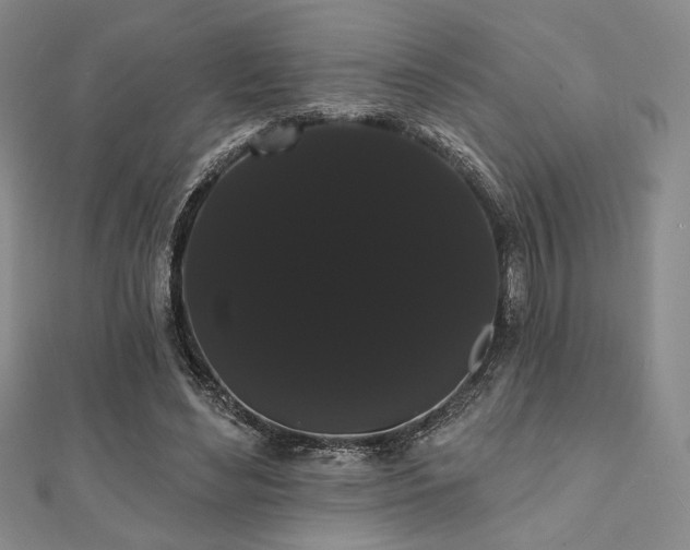 X0000112000492200908031232