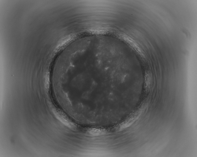 X0000112000494200908031232