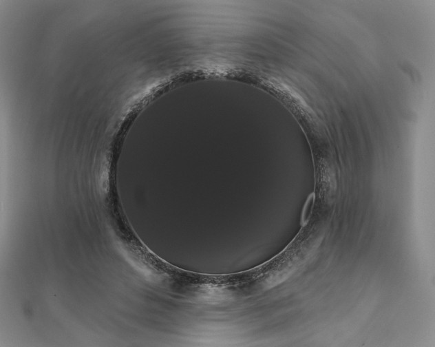 X0000112000496200908031232