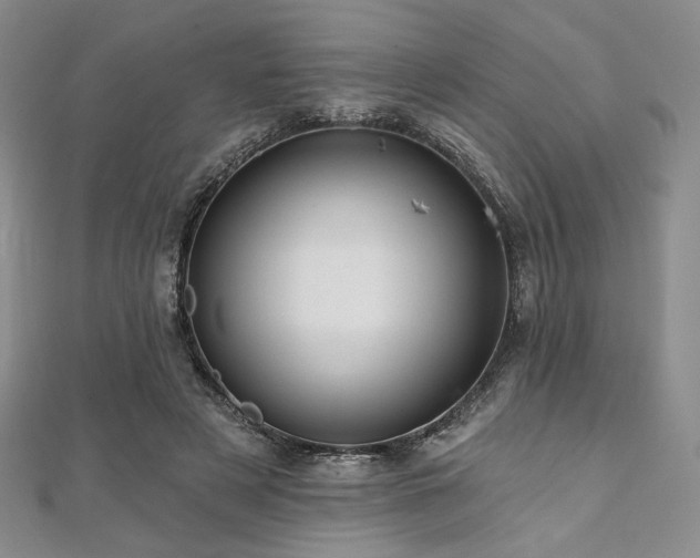 X0000112000497200908031232