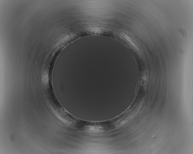 X0000112000500200908031231