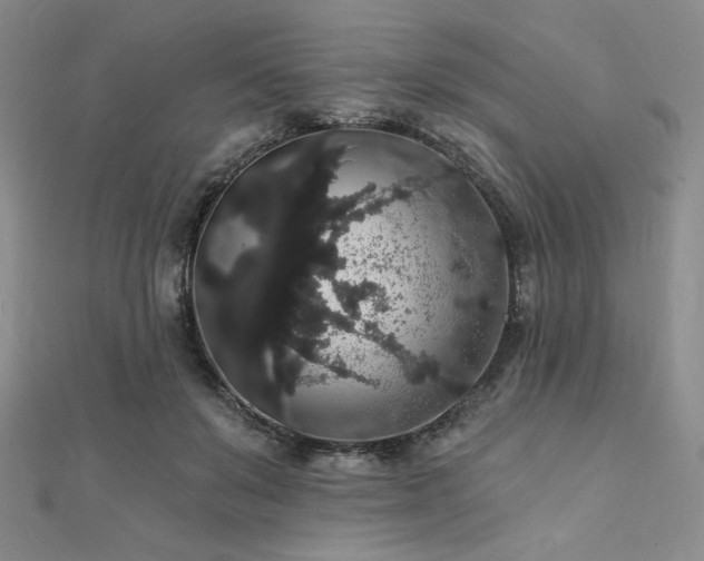 X0000112000503200908031231