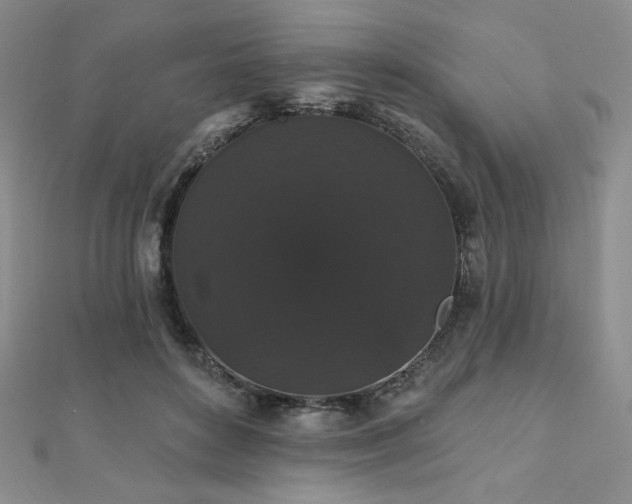 X0000112000504200908031231