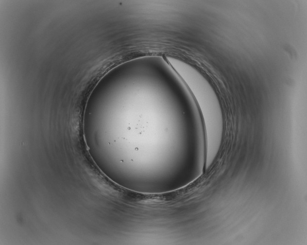 X0000112000505200908031231